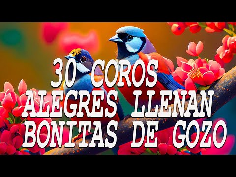 Coros Viejitos Pero Bonitos - Coros Pentecostales - Mas De 100 Coros Avivamiento Pentecostal