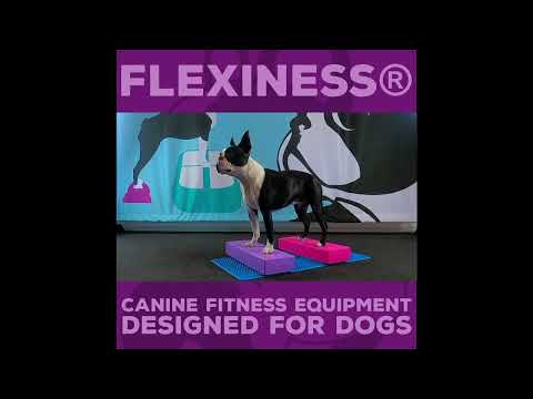 Flexiness Overview 2