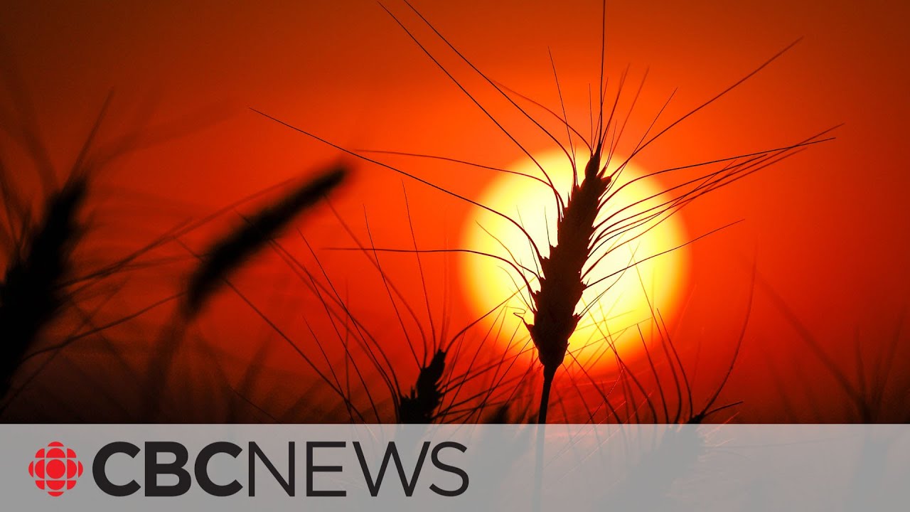 Failure to act will lead planet to warm by 3.1 C, UN report says