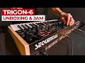 Sequential Trigon 6 Synthesizer Unboxing Jam