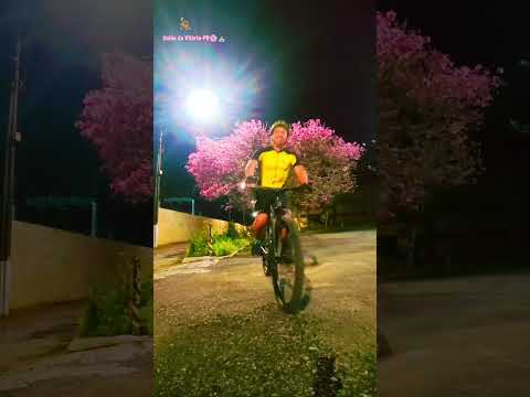 Ipê rosa no pátio da Paróquia São Basílio Magno em União da Vitória, Paraná. #flores #igreja #bike
