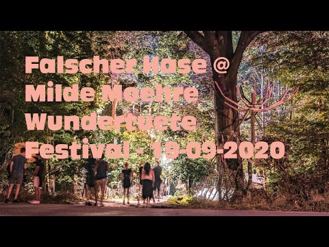 Falscher Hase at Milde Möhre Wundertüte Festival - 19-09-2020 [DJ Set | Deep House]