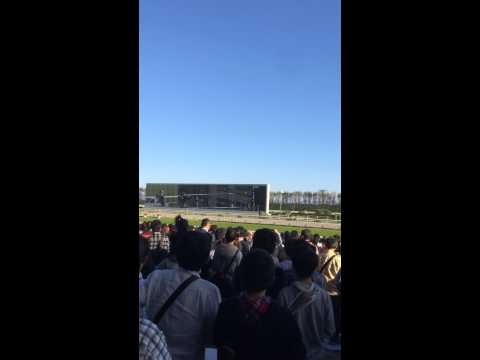 2015年菊花賞ファンファーレ
