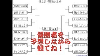 星二武将天下一武道会