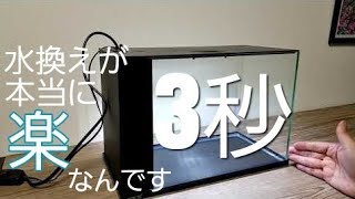 GEX【ラクテリア】RAKUTERIOR水槽買ってきた