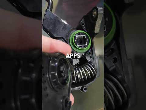 Accelerator Pedal Position Sensor