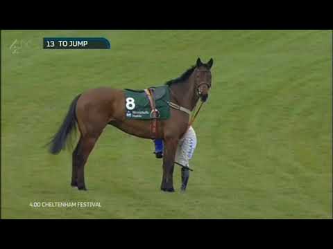 2015 Brown Advisory & Merriebelle Stable Plate - Cheltenham Festival