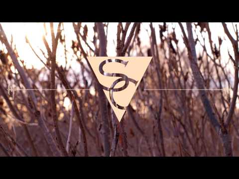 StereoCool ft. Ace - Simple (Dooqu Remix)