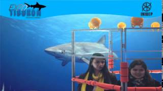 DIA 3 Expo Tiburon60