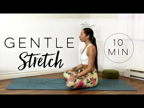 10 Min Morning Yoga Full Body Stretch DAY 18 Yoga For Inflexible People