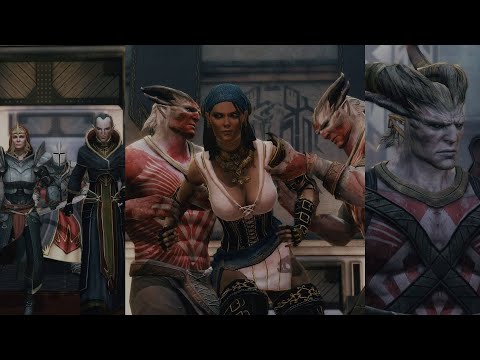 Demands of the Qun (party comments & choices) | Dragon Age 2