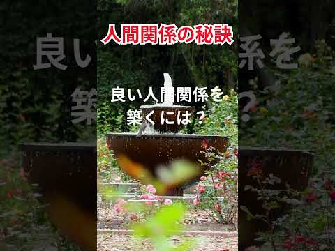 学校を卒業する時に大事な名言　#学校 #親友 #先生 #両親