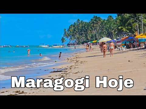 Maragogi Alagoas 14 De Junho De 2026