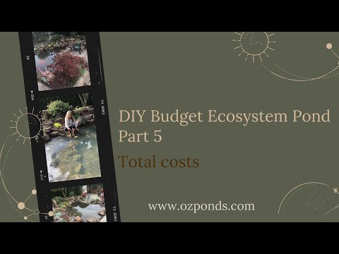 Diy budget ecosystem pond part 5