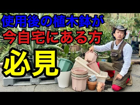 【目からウロコ】余ってる植木鉢の超活用術教えます　　【カーメン君】【園芸】【ガーデニング】【初心者】