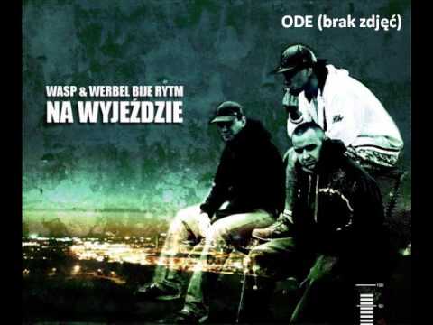 WASP/WBR - Nic Nie Muszę (feat. Kowall, Rafi, ODE, Greg, Czarny, Galon, Hory, Fugol, Kobra, Lont)