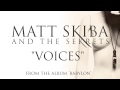 MATT SKIBA AND THE SEKRETS - Voices (Album ...