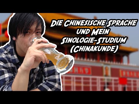 Mein Studium und warum schlägt man in China Flugzeuge, wenn es um Masturbation geht? | V(iet)Log#02