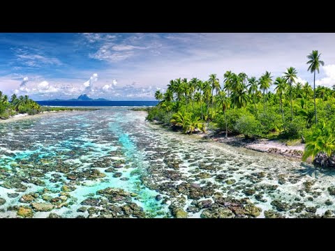 INCREDIBLE FRENCH POLYNESIA, Taha'a , Society Islands: Amazing Planet (4K) 2023