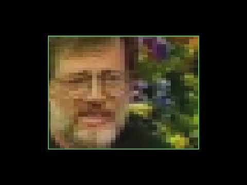 Oh Yeah Tiger - Folkesjela Spacerock