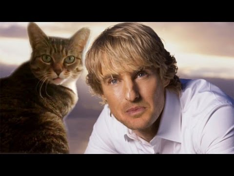 Owen Wilson as a Cat