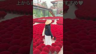 ハノイの映えスポット🇻🇳✨ #ハノイ #ベトナム旅行 #shorts