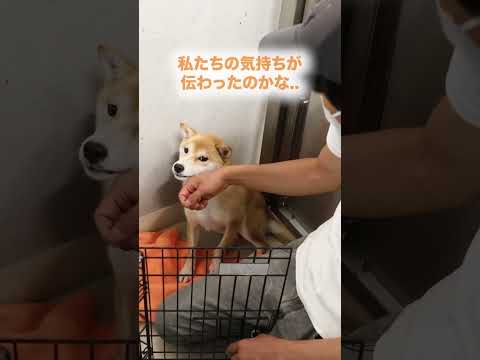 2026年もワンコを救うために