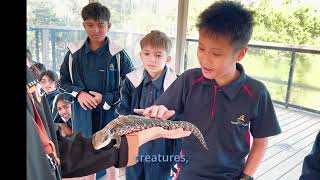 HAC Term 2 In Review