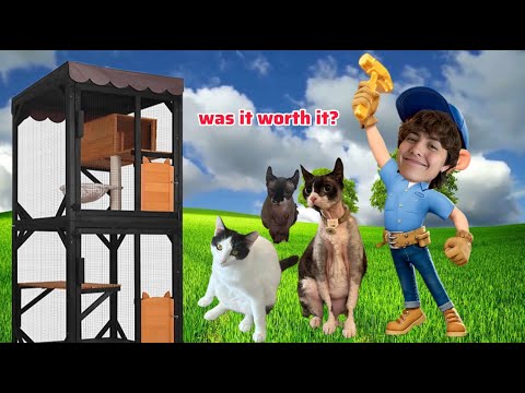 I Built an APARTMENT for my Cats! 🔨