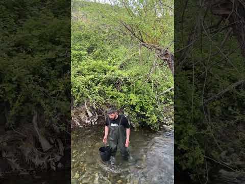 Qaynene baliq isdeyerken  Baliq ovuna getmek ! Xeyyam qehremanov ay maa