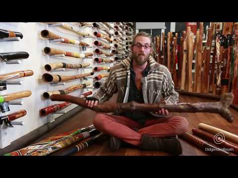 Didgeridoo Buyers Guide - Buying a didgeridoo for the advanced player - 10 of 10