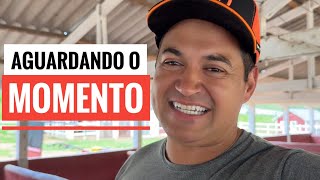 UMA NOVA VIDA ESTA PRESTES A CHEGAR NO SÍTIO!