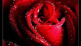 Lass mich nicht hier Donate