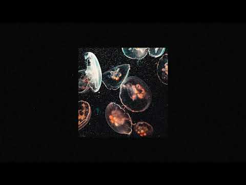 [FREE] Laylow x Hamza Type Beat "November" Trap Instrumental (prod. younga)