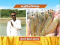 Pon Vilaiyum Bhoomi 26 01 2021 Successful Farmer Story