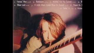 Peter Case "Workin' For The Enemy"