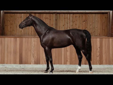 Rio de Janeiro GP - Standing