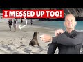 On My Galapagos Cruise We All Made These 8 Mistakes