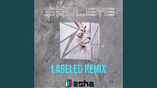 Labeled (Remix)