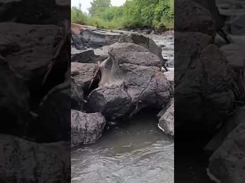 🌊 Rio Uruguai registra nível baixo em Porto Vera Cruz #riouruguai #portalfronteiranoroeste