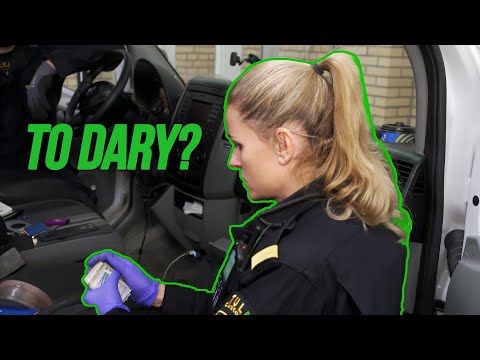 A Ukrainian from Poland was transporting a lot of money! | Customs officers on guard in Sweden