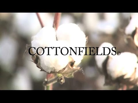 Cottonfields - Official Album Trailer By Herrick
