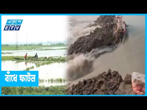 পাহাড়ি ঢলে বাঁধ ভেঙে তলিয়ে গেছে ৬৩৩ হেক্টর বোরো ধান