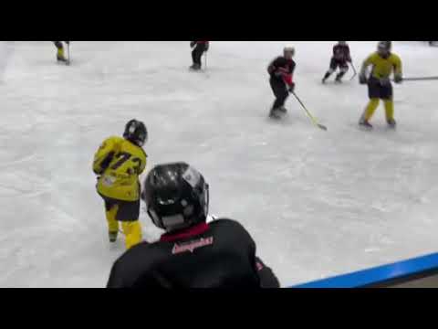 HDK Maribor LISJAKI-HK Celje U12 2.period