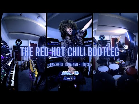 Youngr - The Red Hot Chili Bootleg (Live From Llamaland Studios)