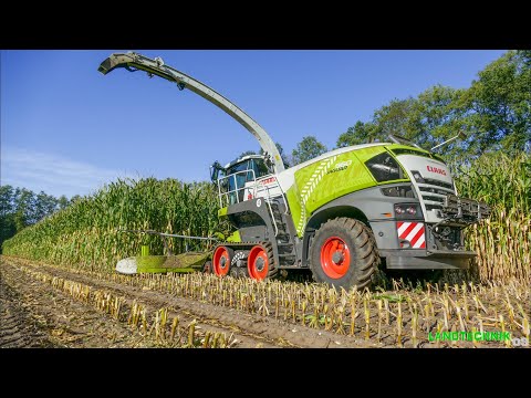 Claas Jaguar 960 TT | Maisernte 2019 |Orbis 750|Fendt|John Deere|Massey Ferguson|New Holland