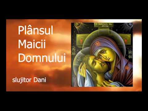 Plansul Maicii Domnului - slujitor Dani