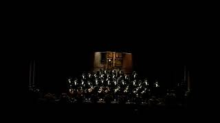 El pájaro verde – Final – COAC 2003