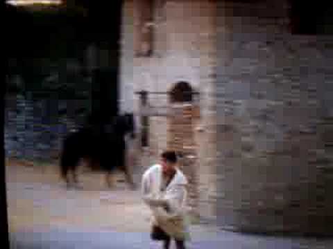 LadyHawk the final battle