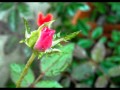 Peace - Kenny G